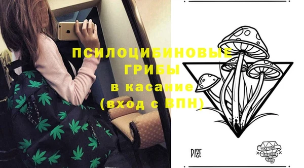 прущая мука Михайлов