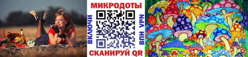 mega ССЫЛКА  Нефтекамск  Псилоцибиновые грибы мицелий 